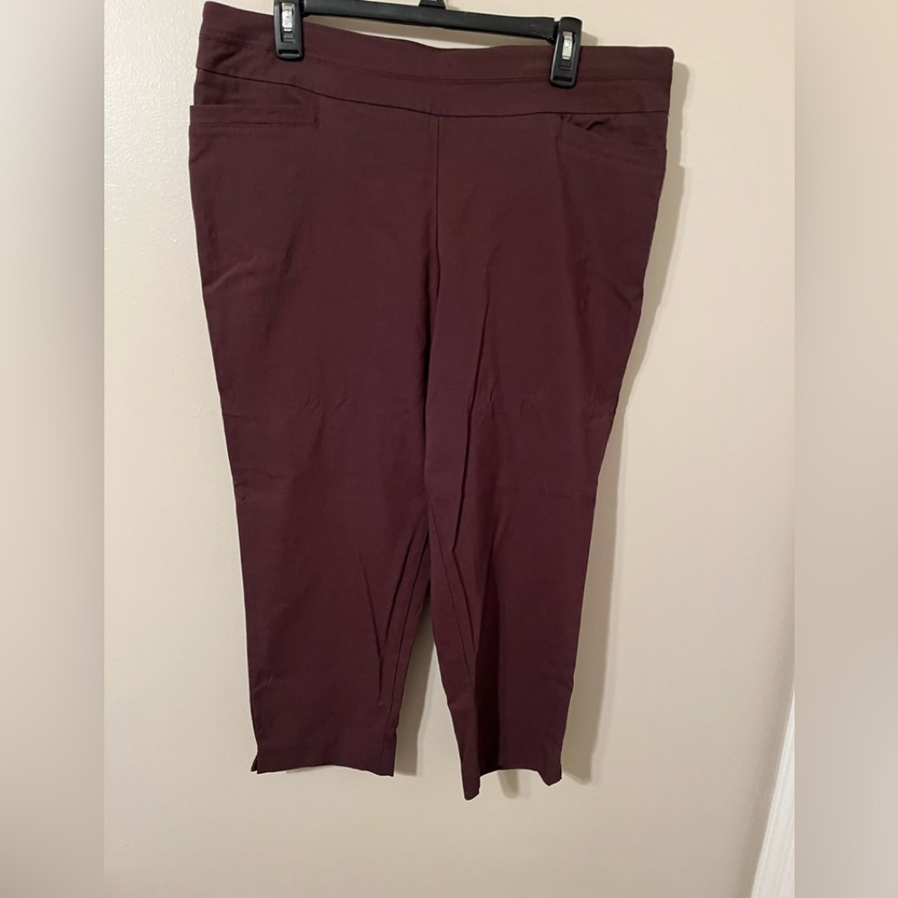 Apt 9 pants